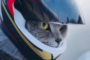 Маленькие мотоциклетные шлемы для кошек и щенков, мини-крутые модные шлемы, мотоциклетный шлем с полным лицом, наружная каска для защиты головы домашних животных